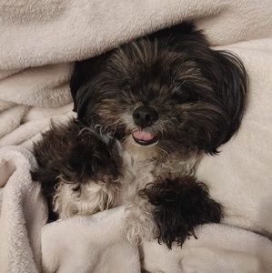 Meet your Posher, Meredith